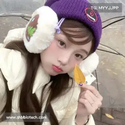 孟北